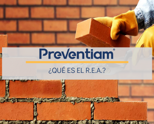 Qué es el R.E.A.